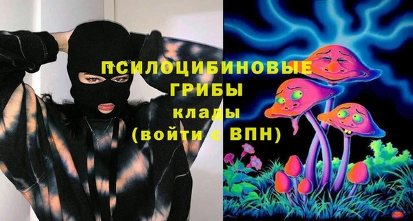 дурь Алексеевка