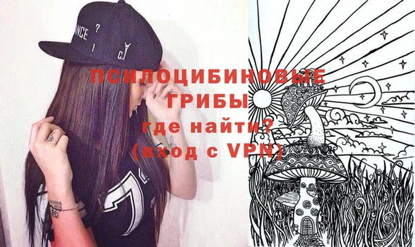дурь Алексеевка