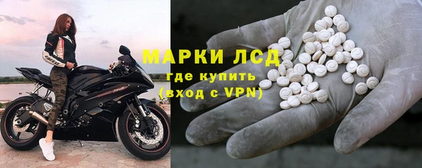 прущие грибы Алексин