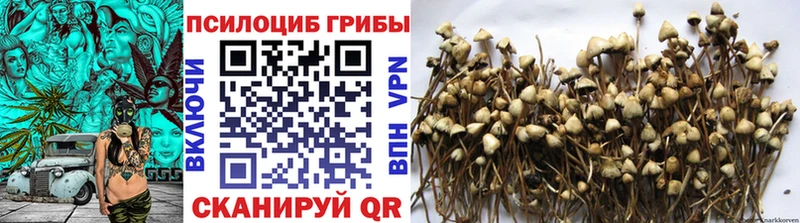 Псилоцибиновые грибы прущие грибы Богородицк