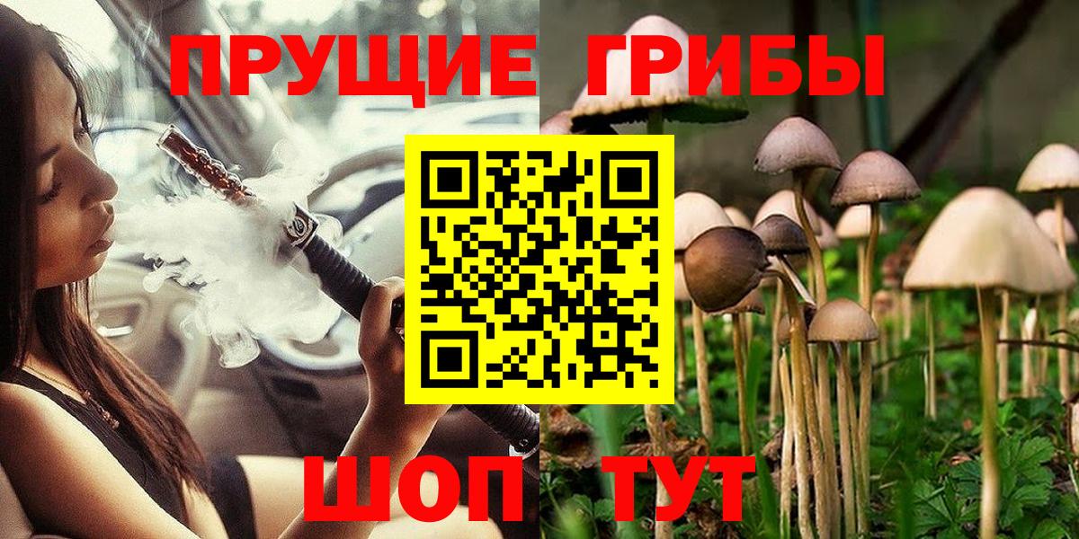 Псилоцибиновые грибы прущие грибы  Вход с VPN  Богородицк  Псилоцибиновые грибы MAGIC MUSHROOMS 